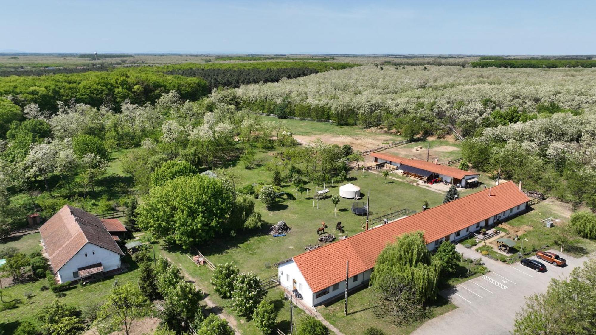 Hotel Akacliget Vendeghaz Es Major Ofeherto Zewnętrze zdjęcie